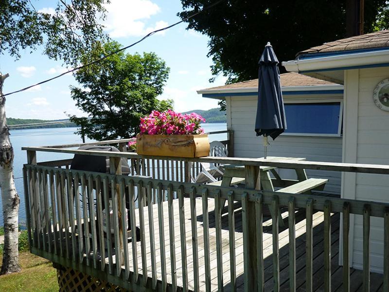 Silver Springs Cottage Resort Harcourt Exterior foto