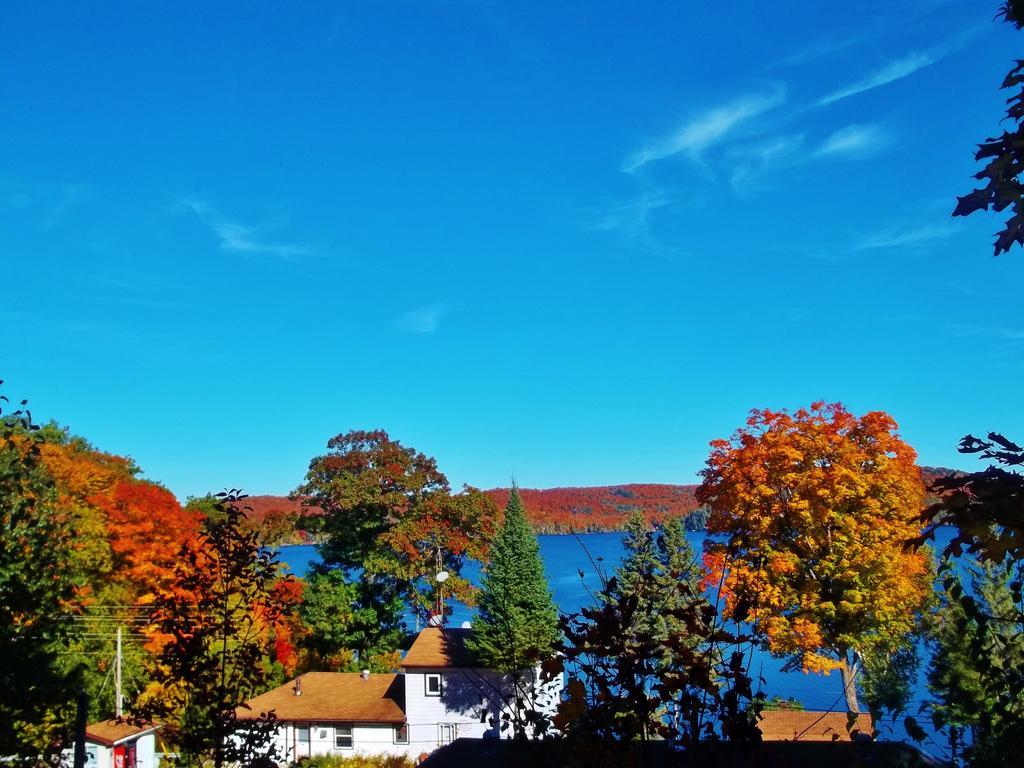 Silver Springs Cottage Resort Harcourt Exterior foto