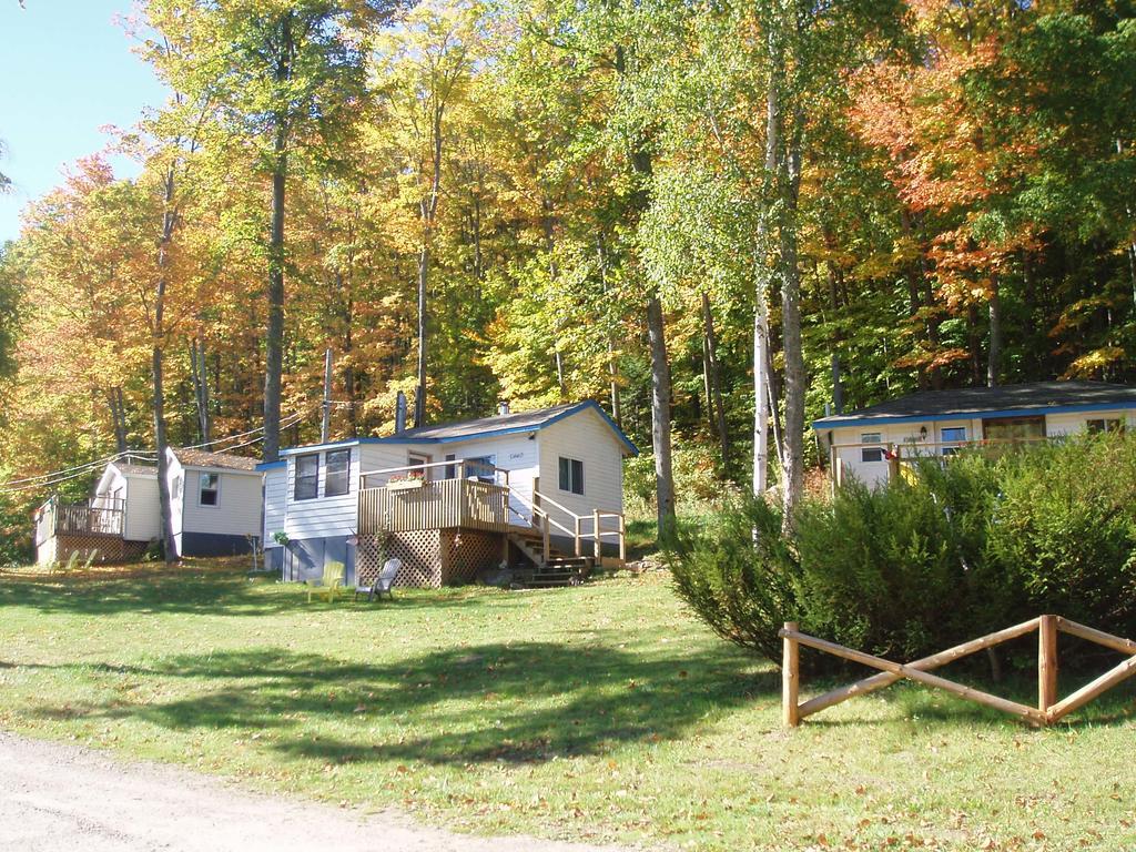 Silver Springs Cottage Resort Harcourt Exterior foto